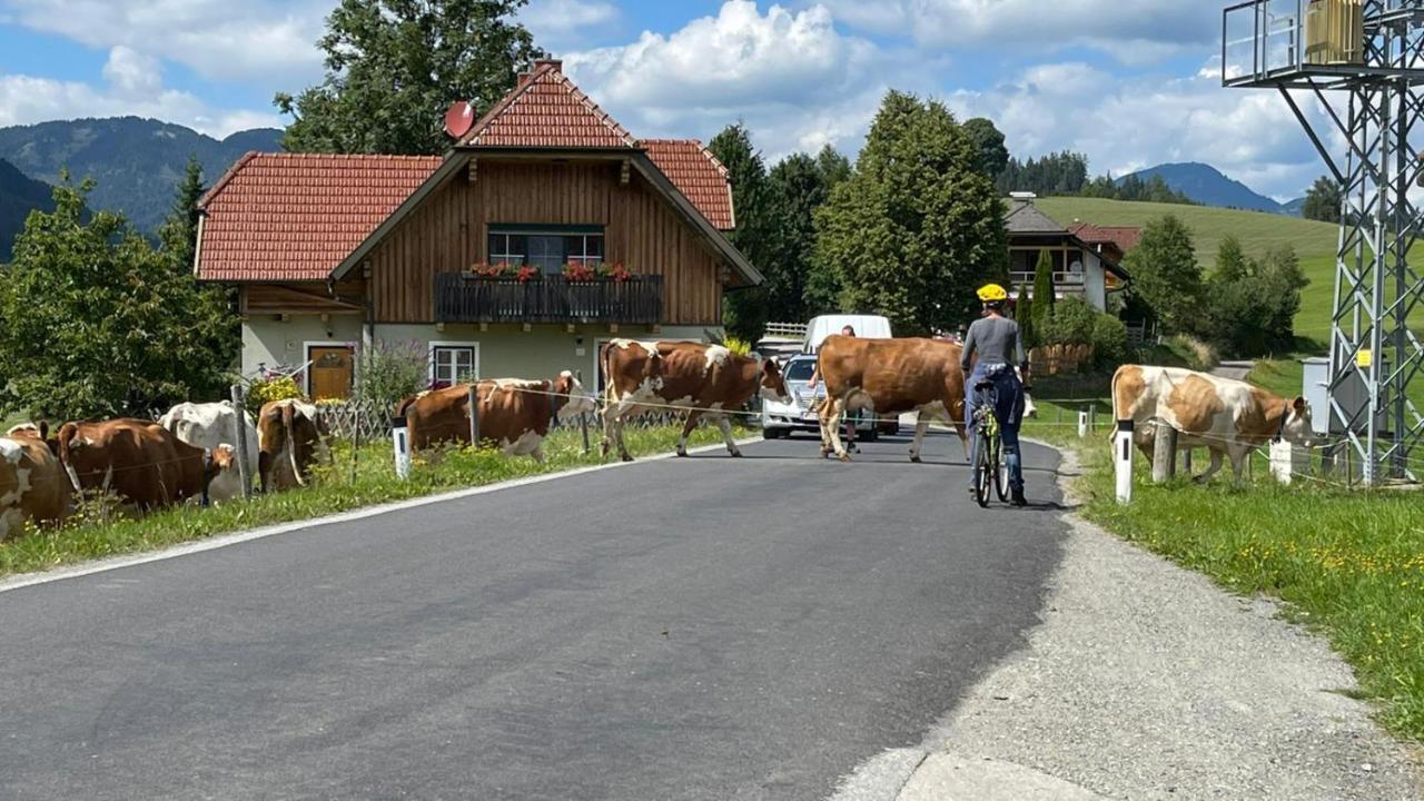 Biohof Koeck Tonibauer * Zeutschach