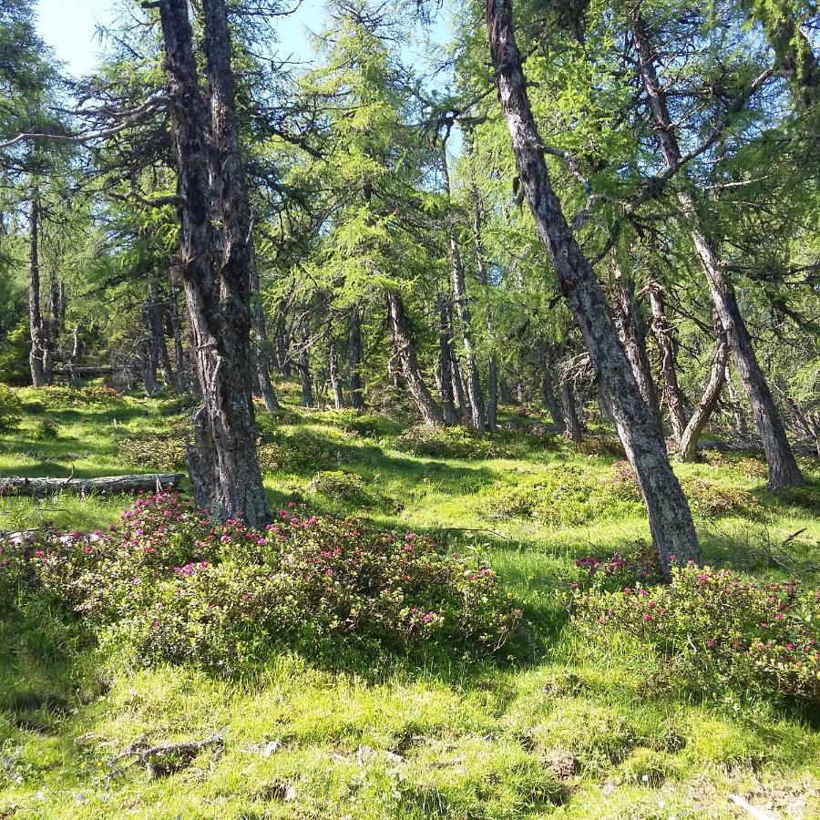 Biohof Koeck Tonibauer Farma *