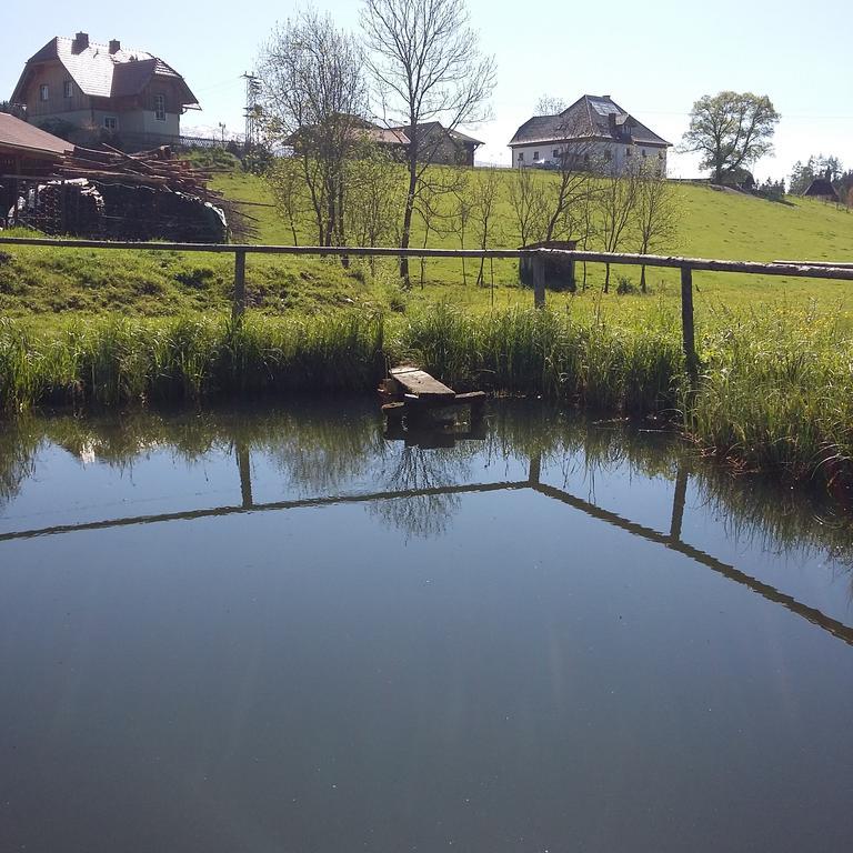 Bauernhof Biohof Köck Zeutschach