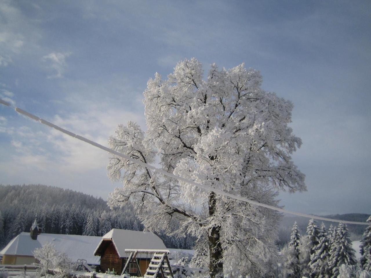 Biohof Köck Bauernhof *