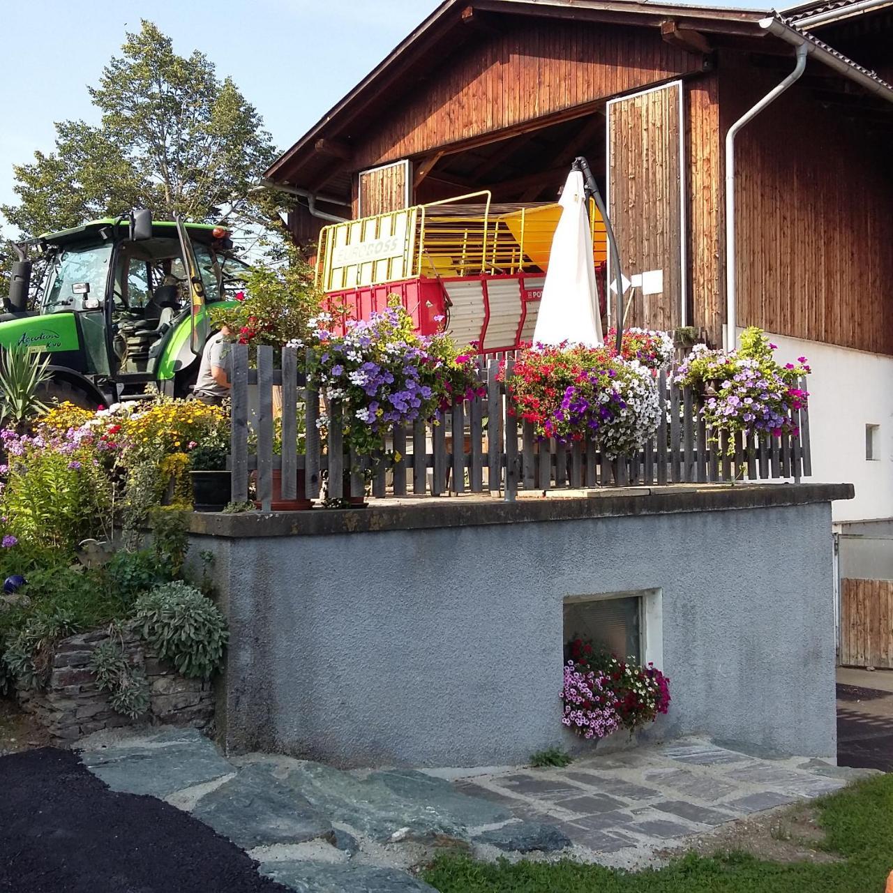 Biohof Köck Zeutschach