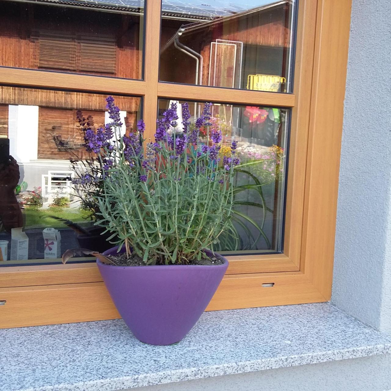 Biohof Köck Bauernhof Zeutschach